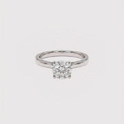Dalbit Ring