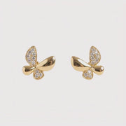 Nabi Earrings